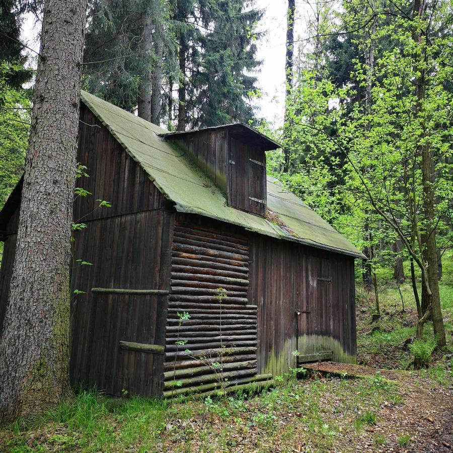 Villa Ferienhaus Waltersdorf Großschönau Exterior foto